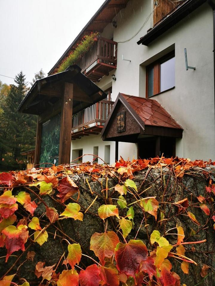 Penzion Zazrifka Zazriva Exterior photo